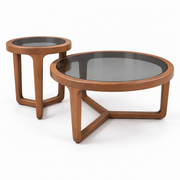 Mirage 2-Piece Glass & Oak Coffee and Side Table Set