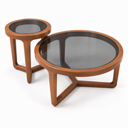 Mirage 2-Piece Glass & Oak Coffee and Side Table Set