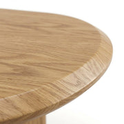 Capsule Oval Coffee Table with Storage Shelf