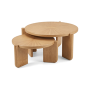 Sun Nesting Coffee Table Set (Set of 2)