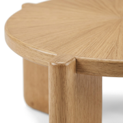 Sun Nesting Coffee Table Set (Set of 2)